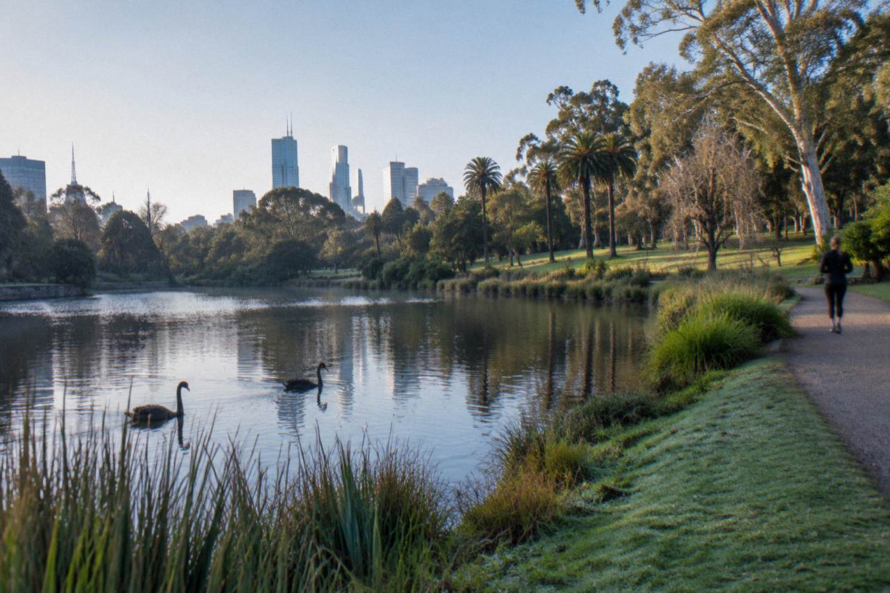 Wide view of the Royal Botanic Gardens Melbourne with a lake, lawns and mature trees on a clear day