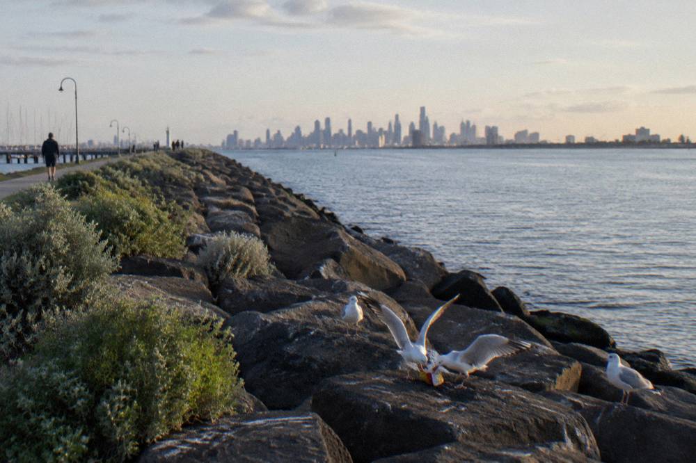 The rocky St Kilda breakwater extending into Port Phillip with the Melbourne skyline behind